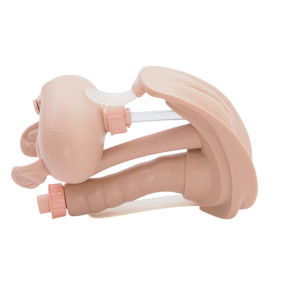 / Modulo Genitales Intercambiables Femenino Maniqui Enfermeria Body Kit